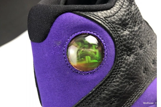 Air Jordan Retro DJ5982-015 Court Purple DJ5982-015 13  0630